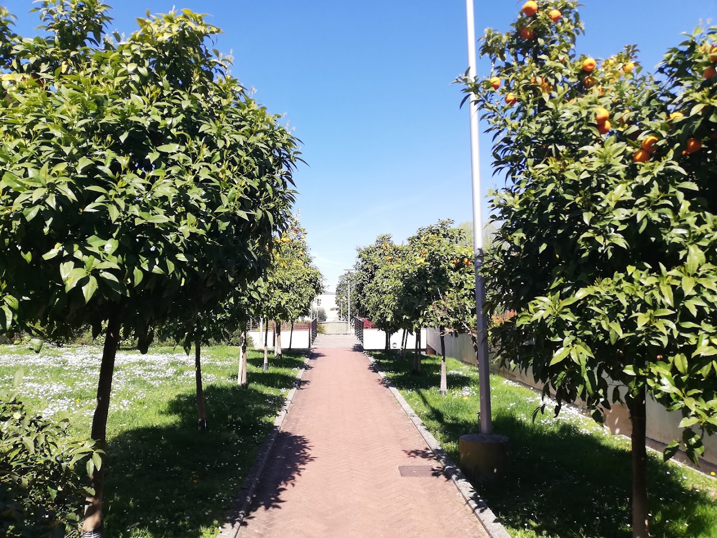 Giardino del Carbonile