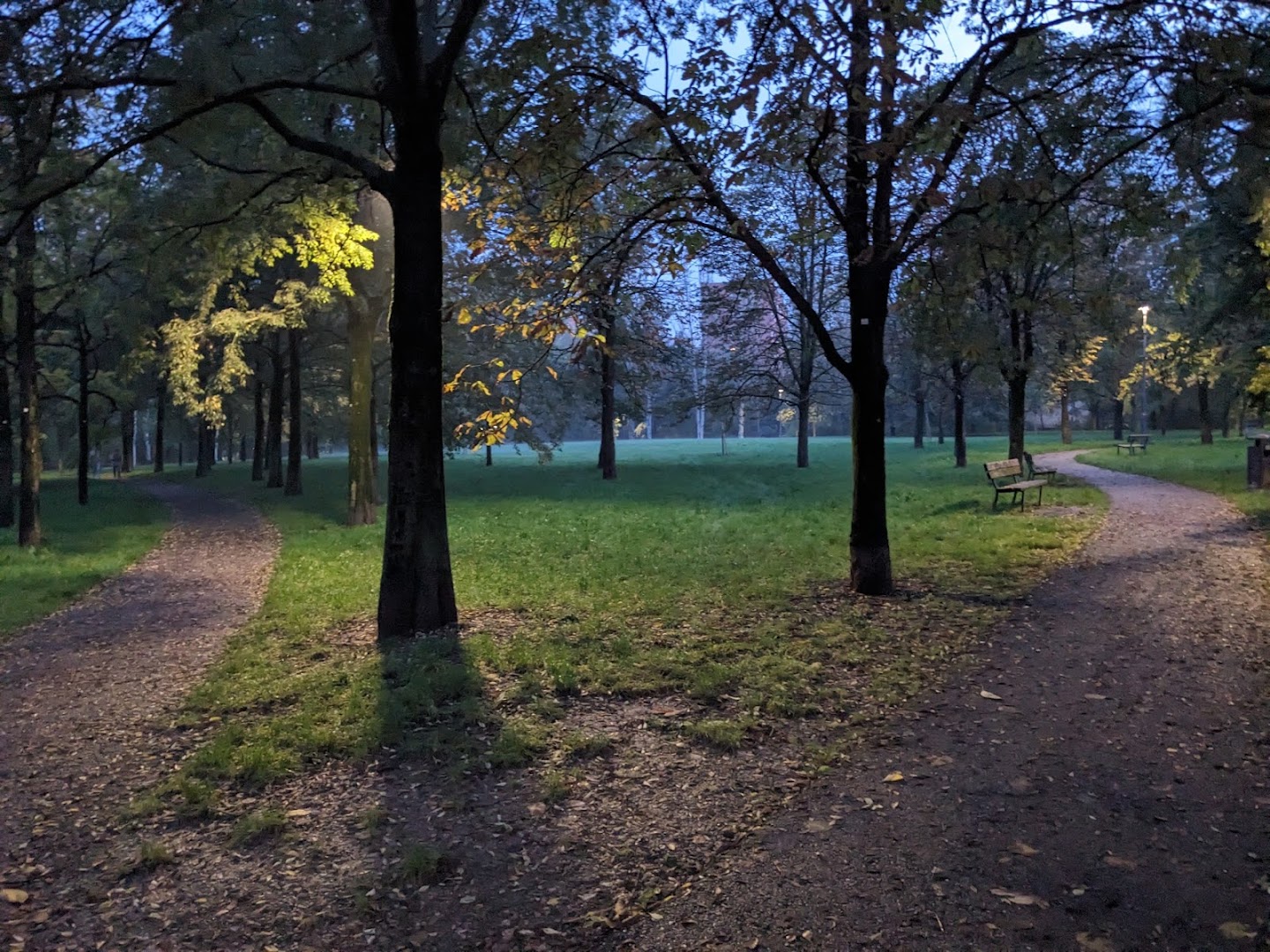 Giardino Domenico Acerbi
