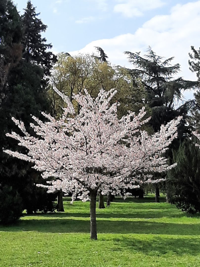 Giardino Domenico Acerbi