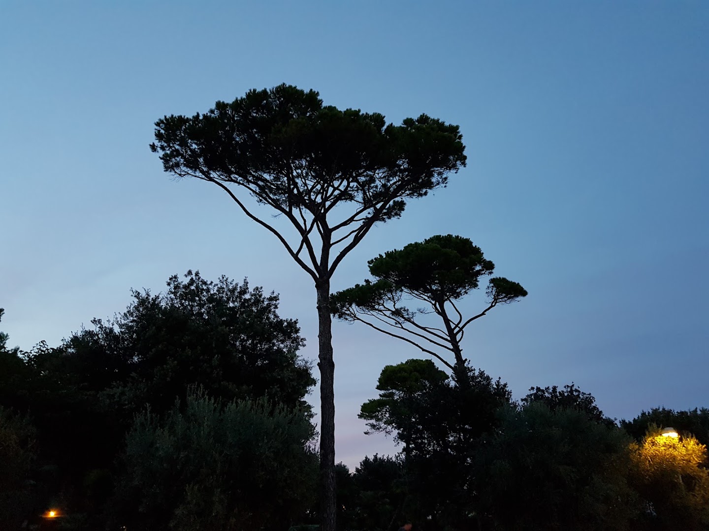 Giardino Luigi Salvadori Paleotti