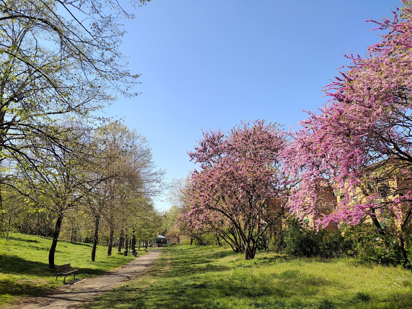 Giardino Lunetta Gamberini