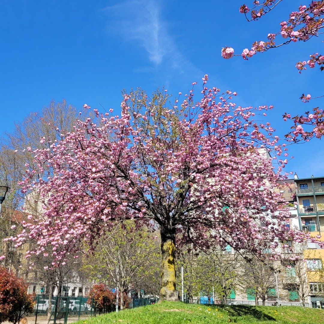 Giardino Oreste Del Buono