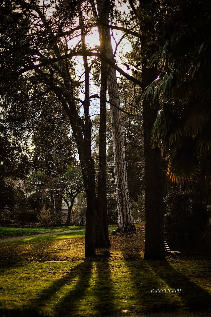 Giardino Parolini
