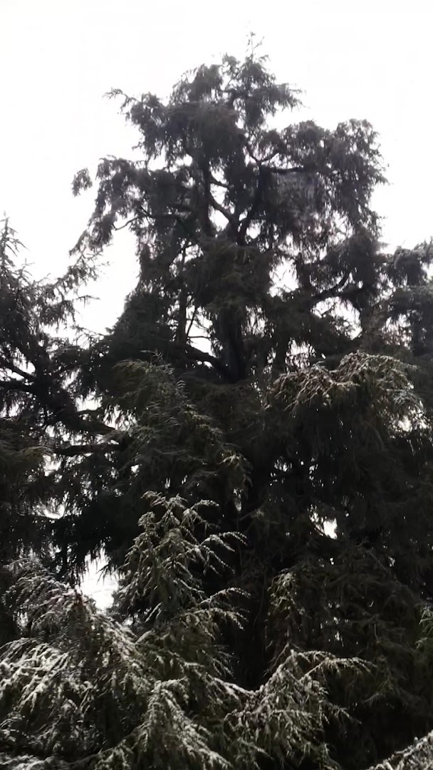 Giardino Pubblico Zumaglini, Biella