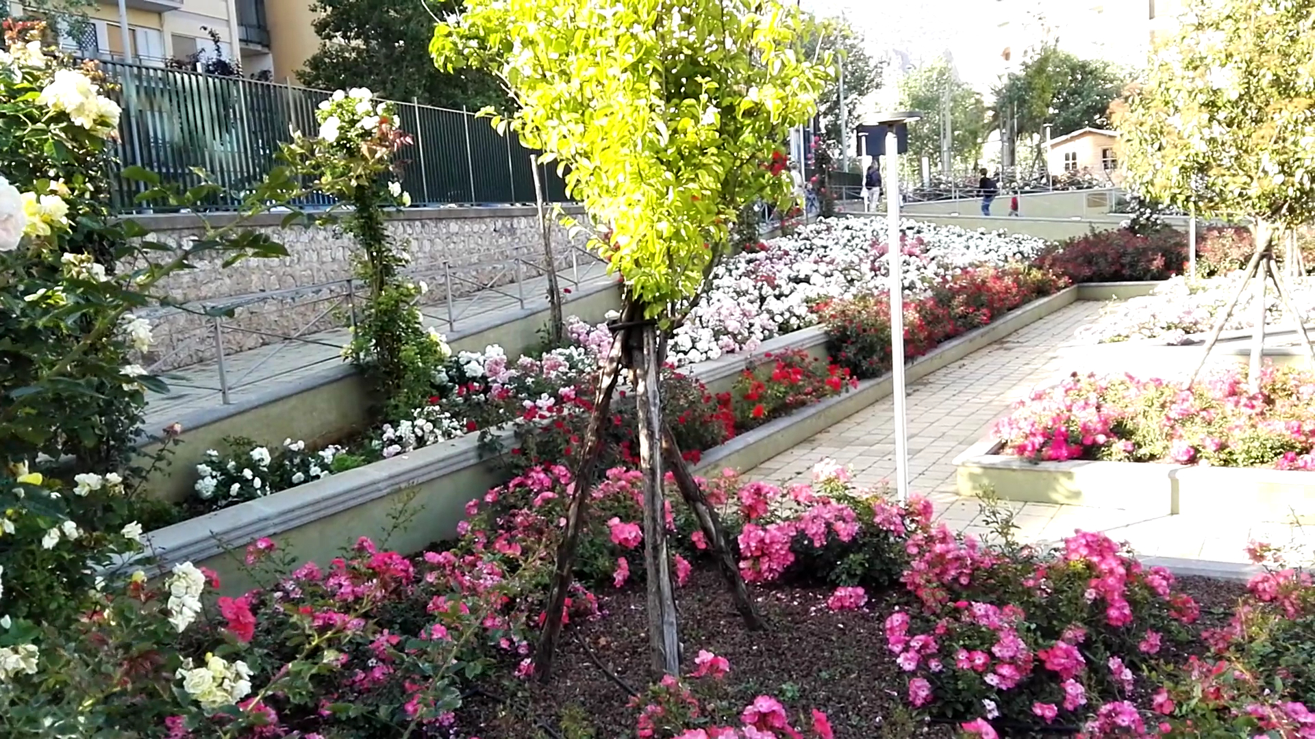 Giardino Rosa Balistreri