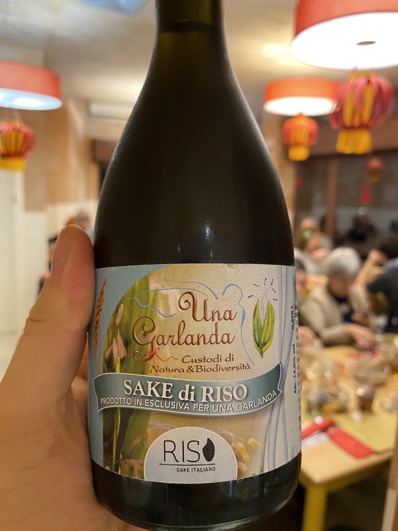 Ginkgo bottega con cucina macrobiotica