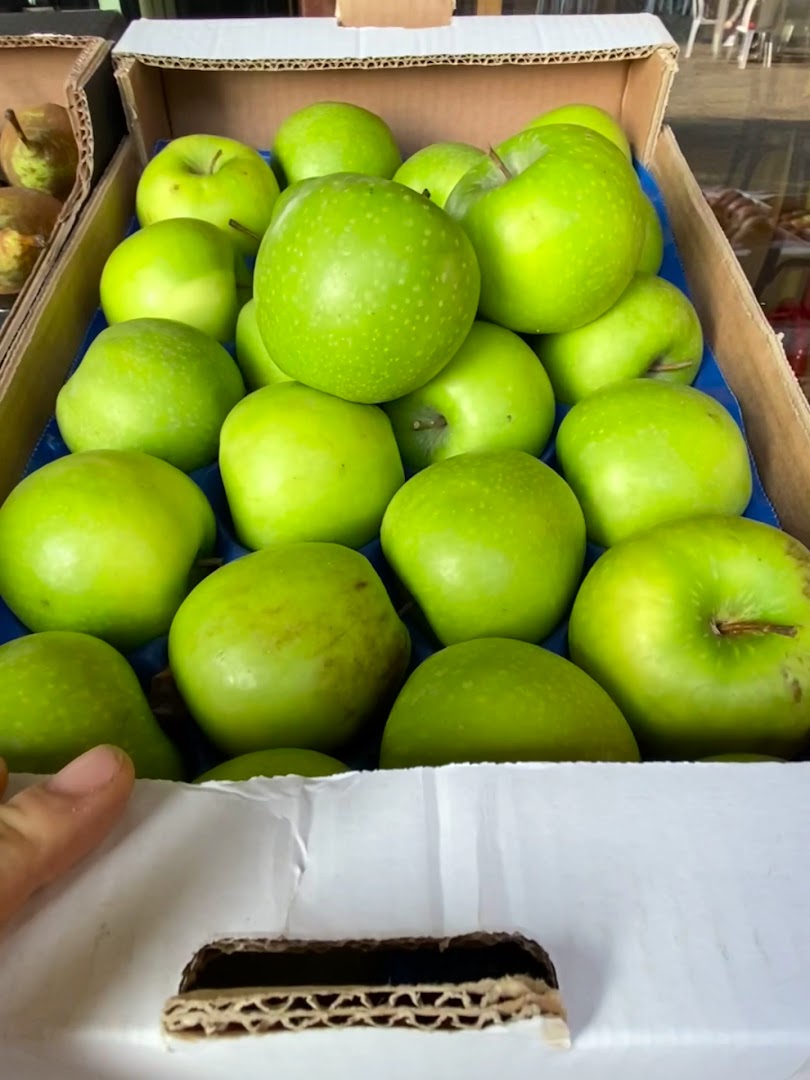 Ginkgo bottega con cucina macrobiotica