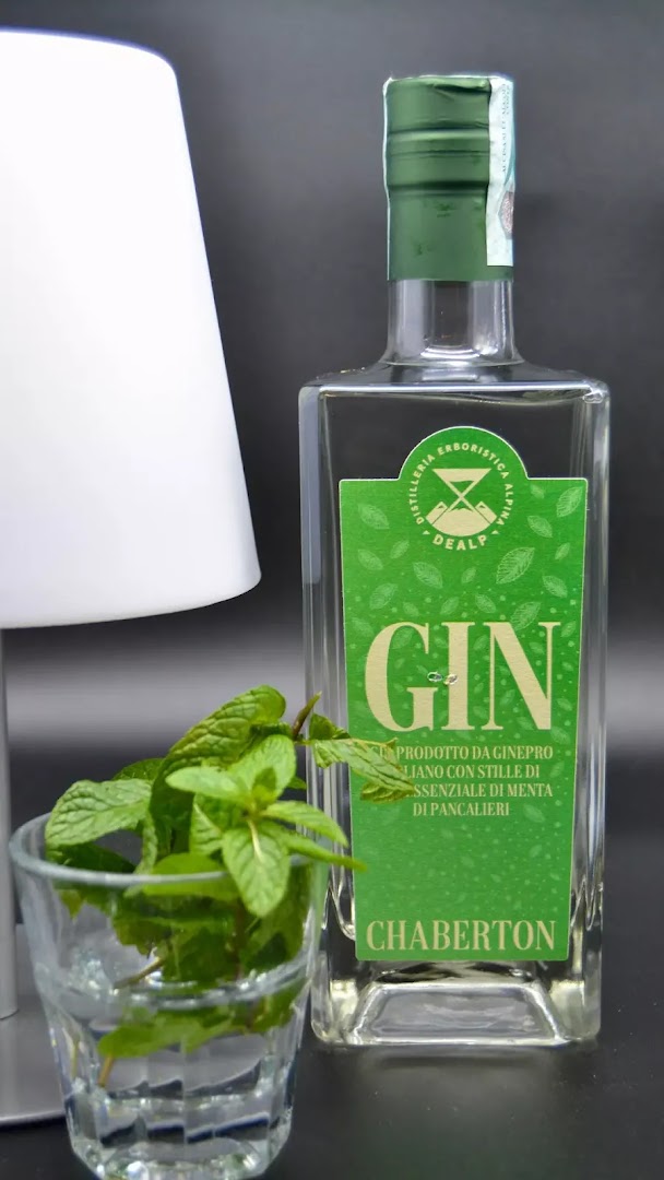 Gintoneria vigevanese