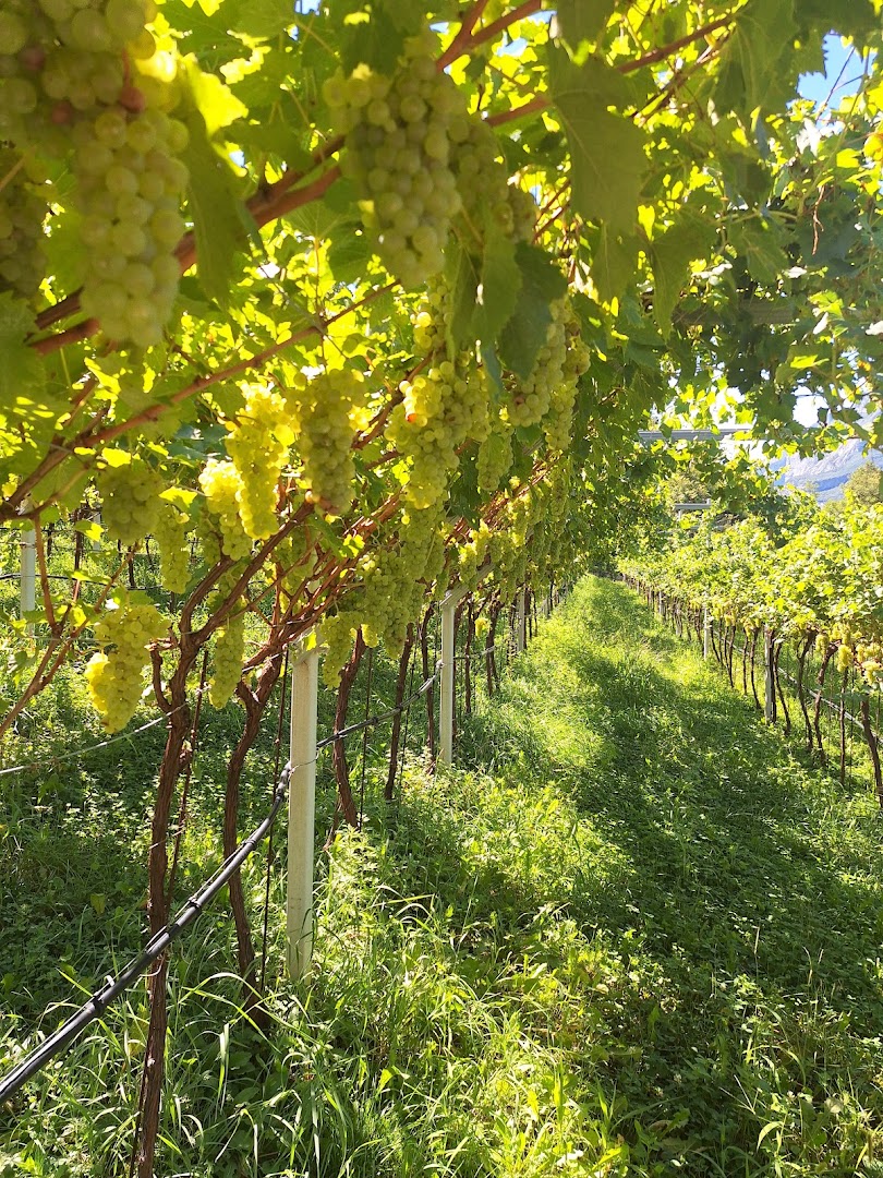 Giro nosiola di calavino, Madruzzo
