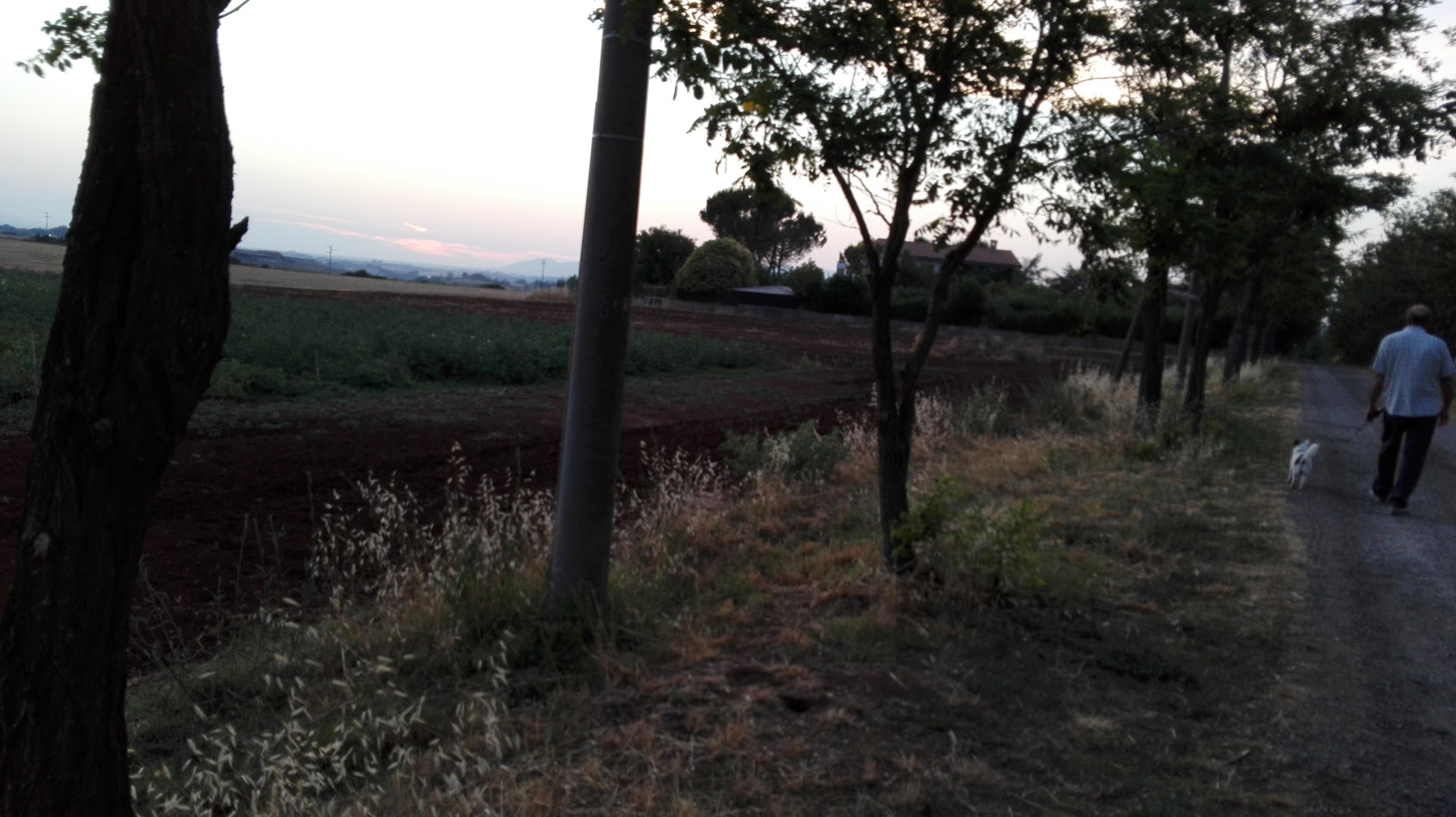 GIS Roma S.r.l.