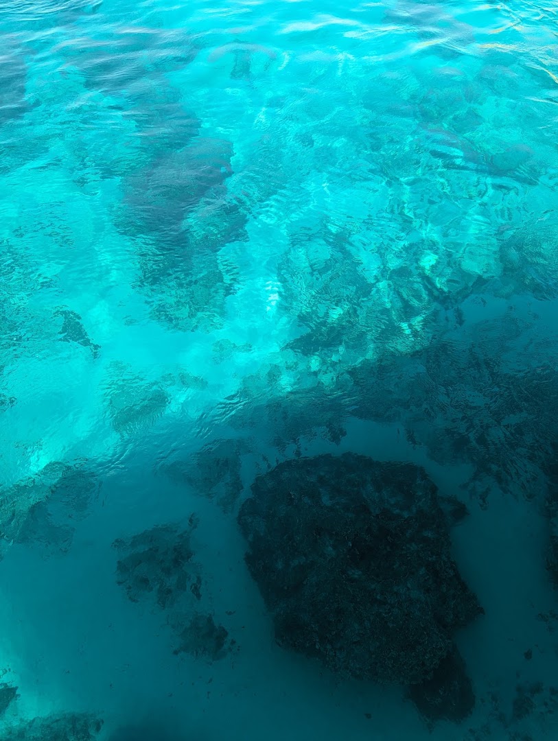 Gita in Barca Delfino Blu Lampedusa, Lampedusa e Linosa