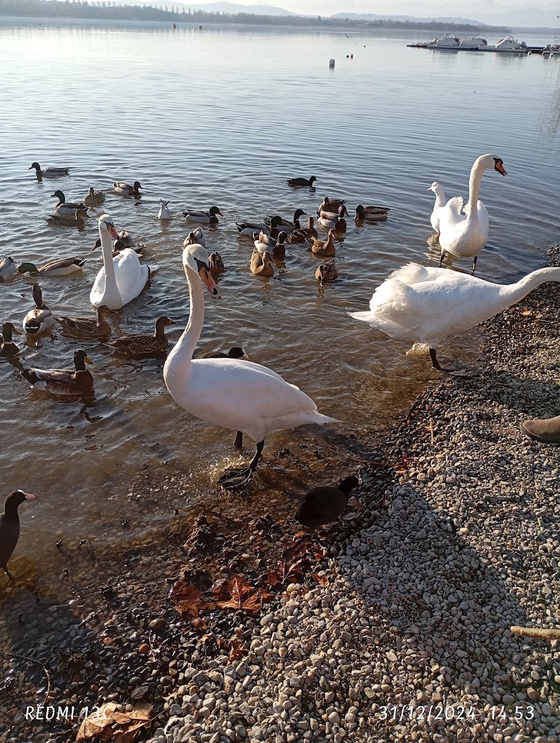 Giulietta al Lago - Varese
