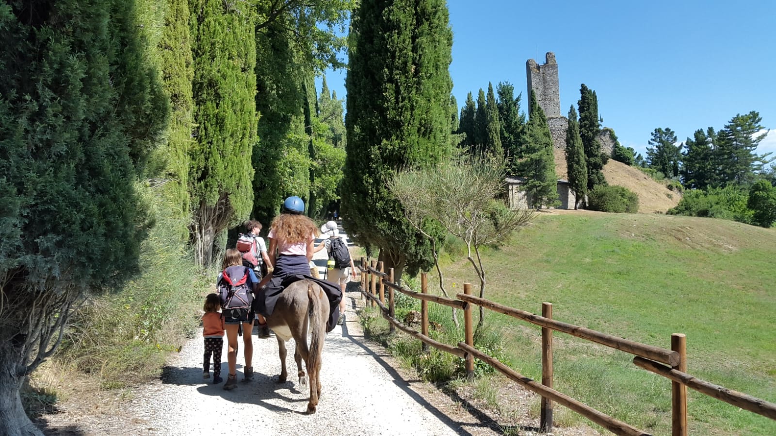 Gli Amici dell'Asino (solo su prenotazione), Pratovecchio Stia