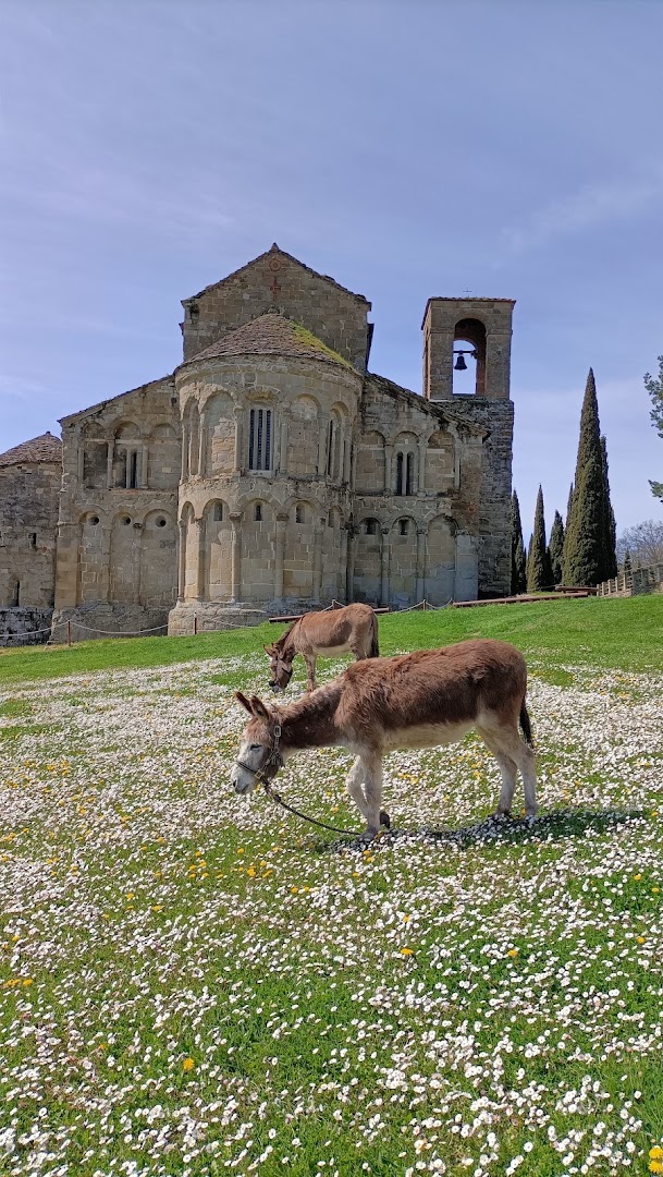Gli Amici dell'Asino (solo su prenotazione)