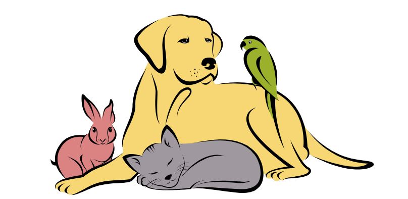 Gli Amici di Pippo