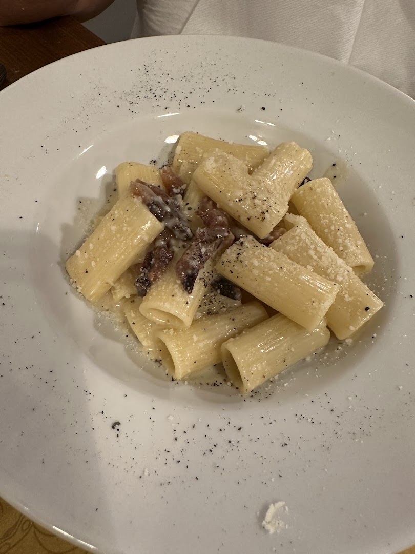 Gli Specialisti