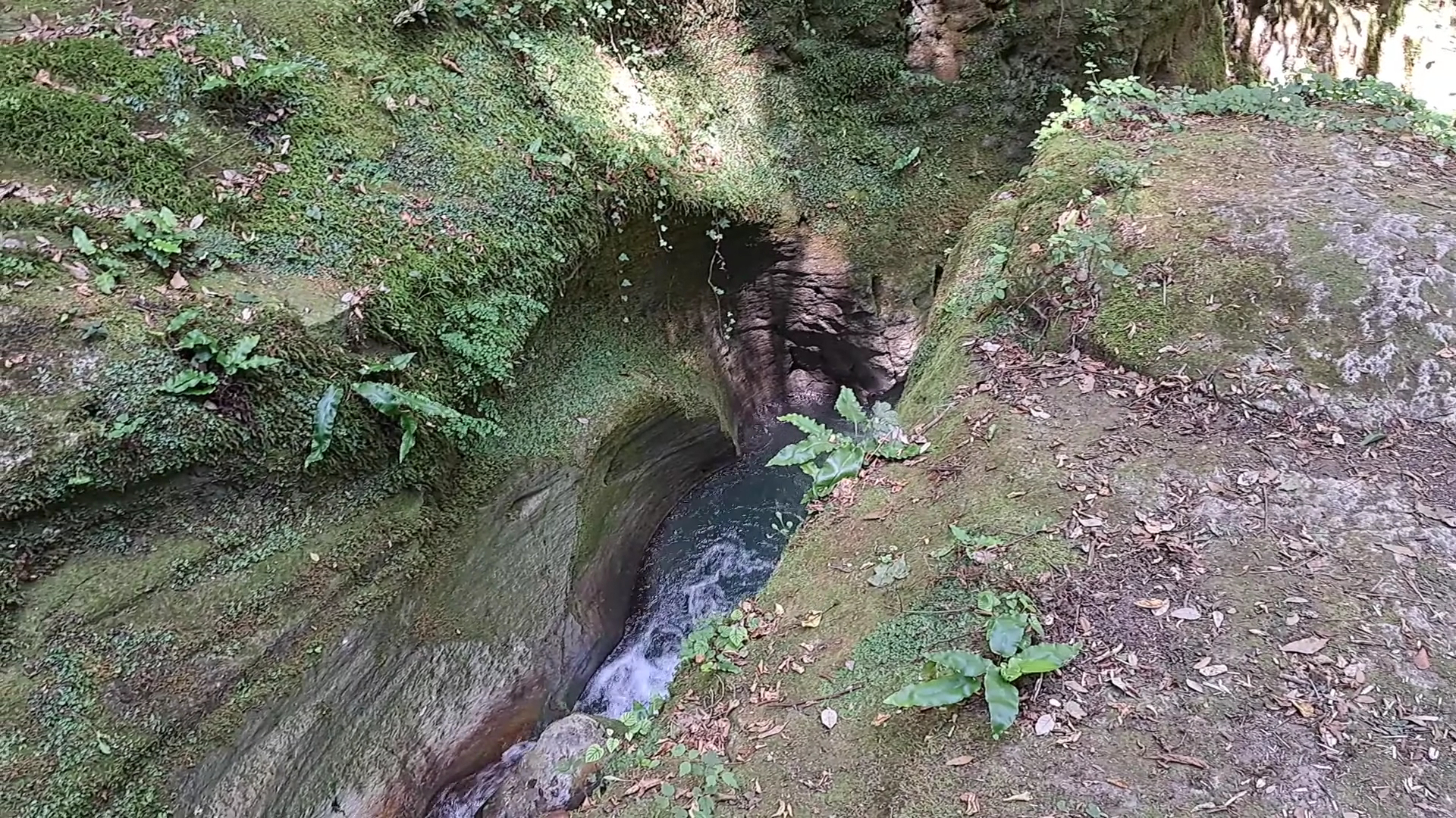 Gole dell'Alento, Serramonacesca