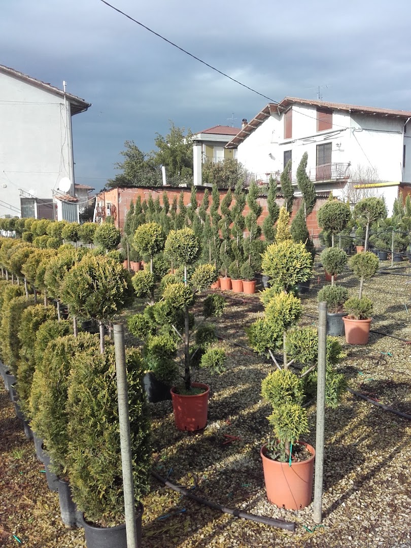 Golf Club Quarrata, Quarrata