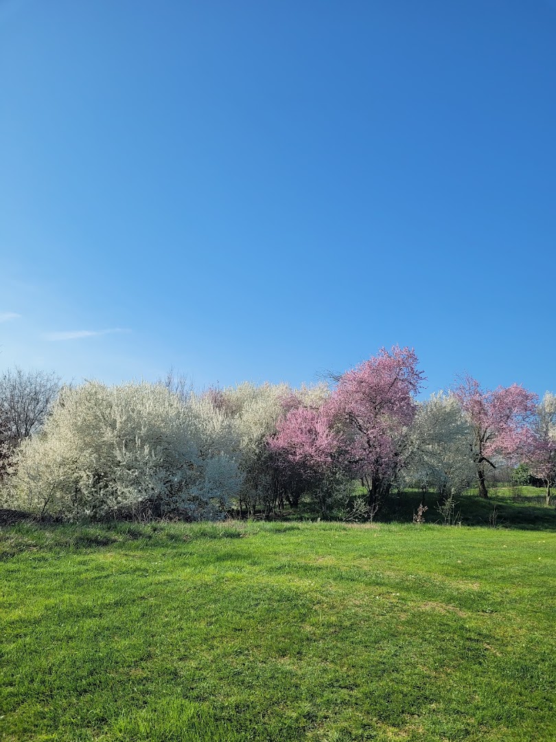 Golf Terre di Canossa