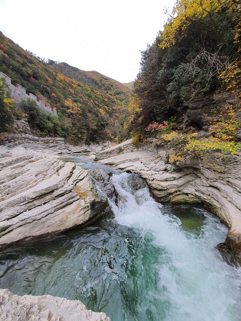 Gorga Brugnola