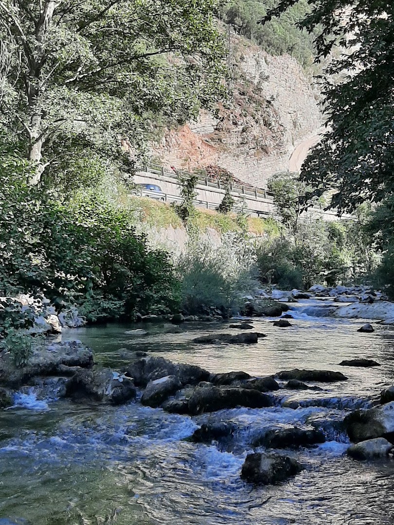 Gorga Brugnola