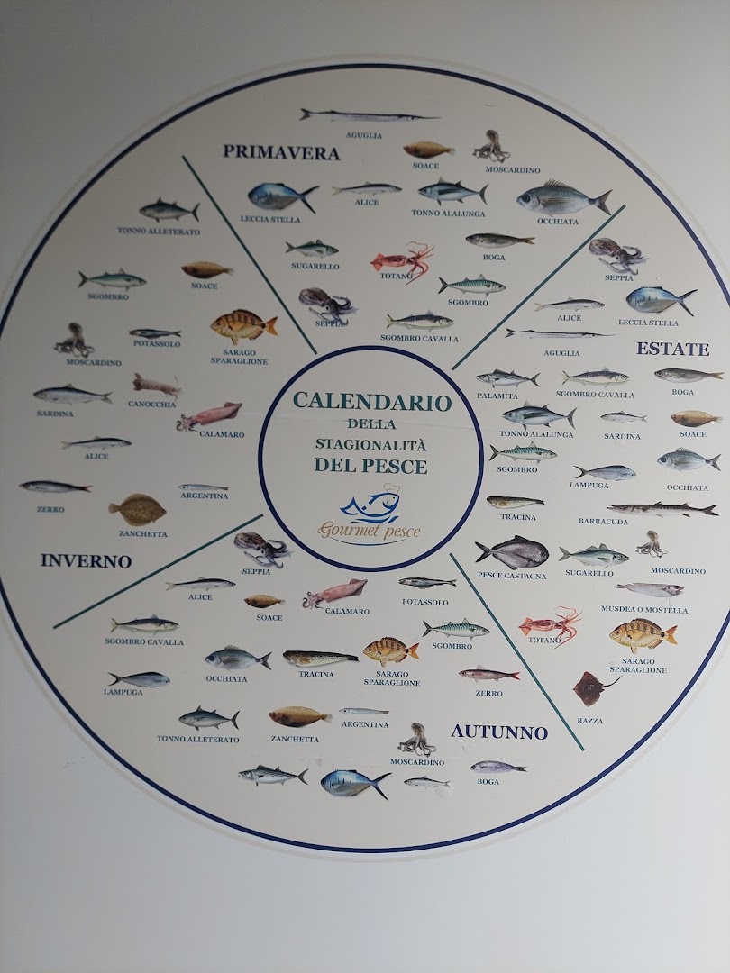 Gourmet Pesce