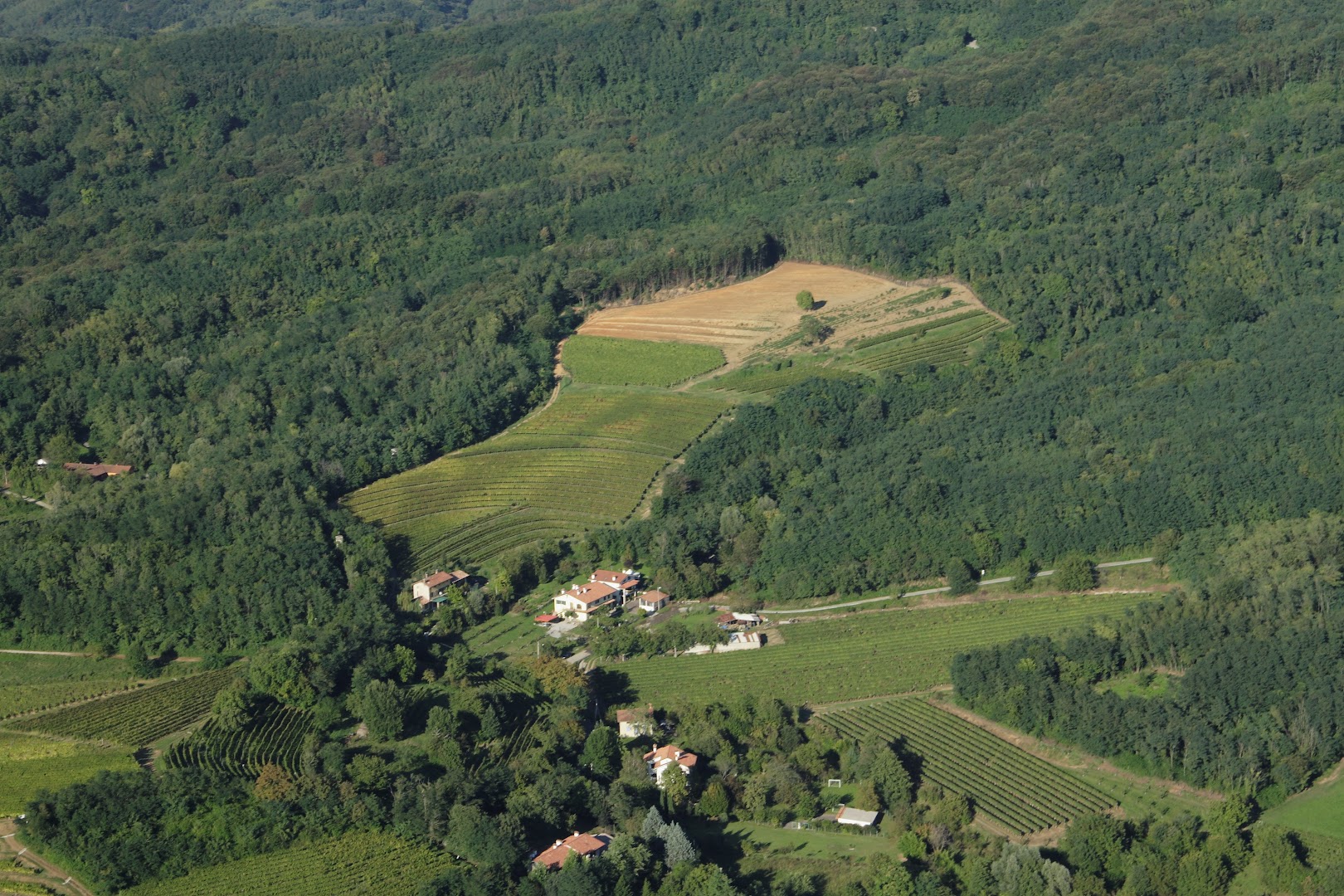 Gradis'ciutta Winery