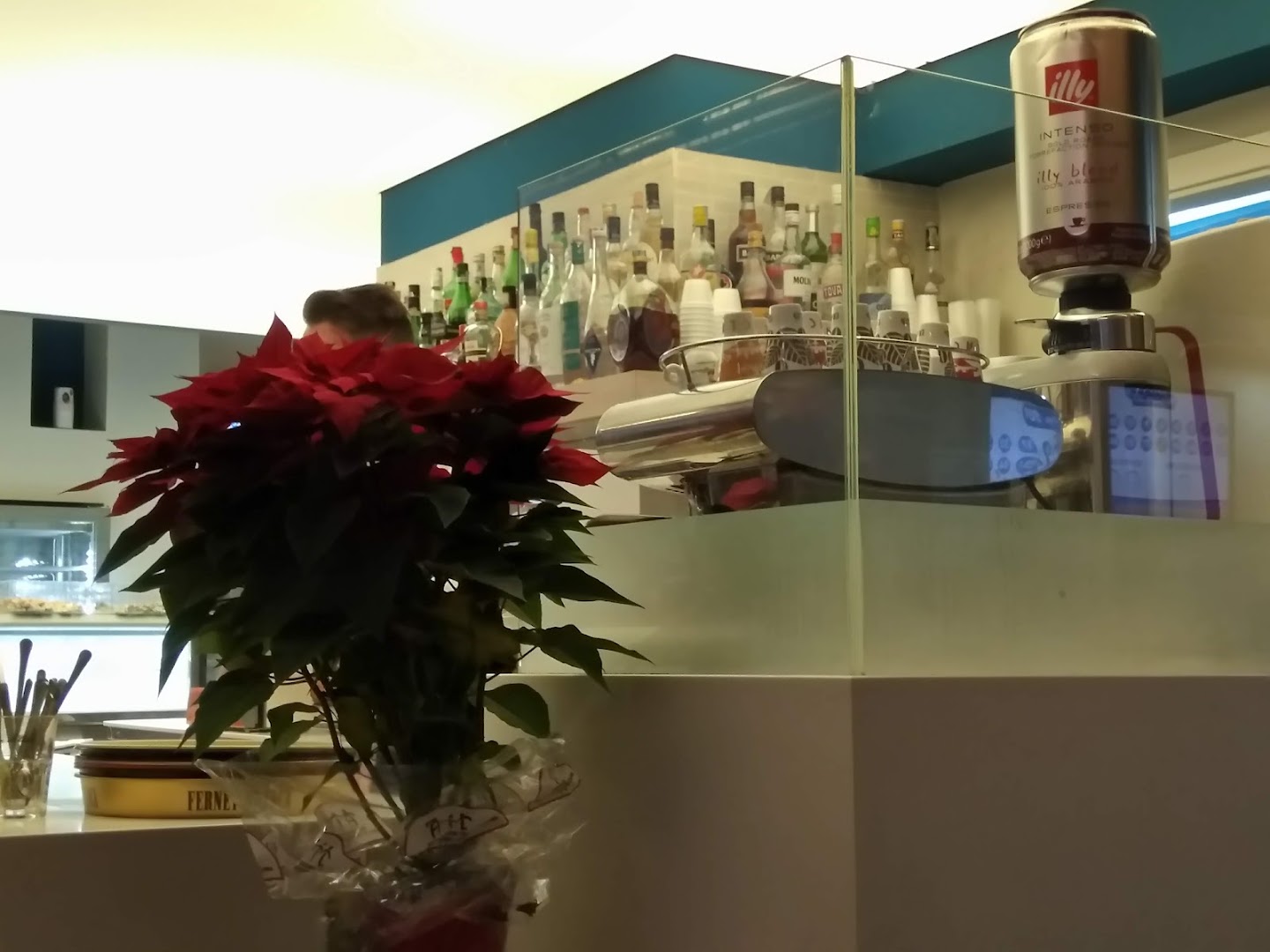 Gran Caffe' Cocozza PLOOM STORE