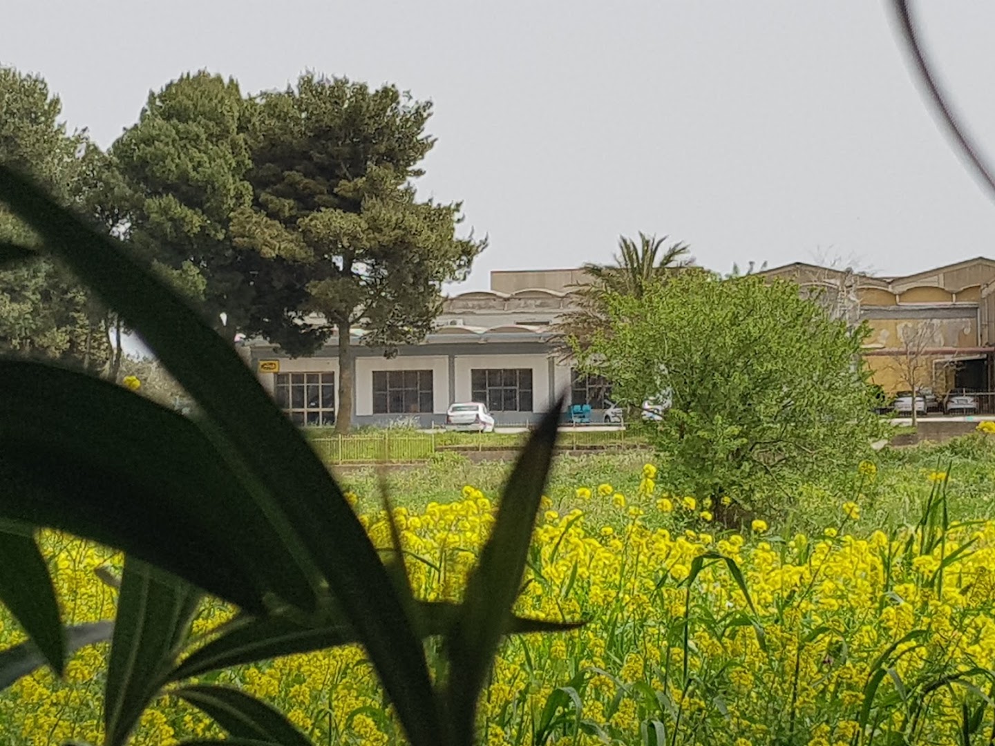 GRAN MENU' Mensa Interaziendale ASI