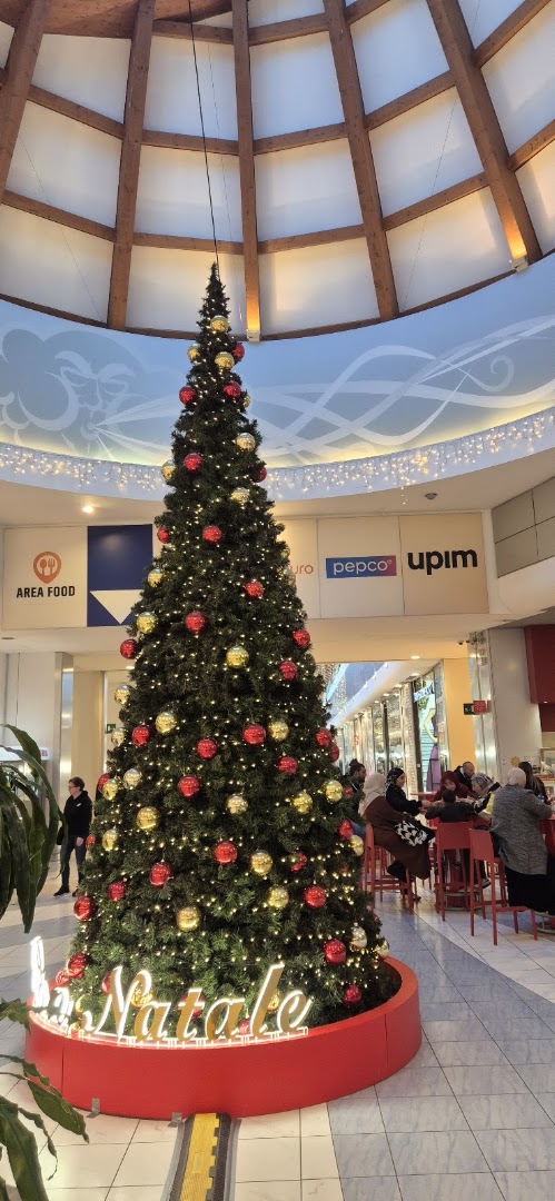 Granfiume Gran Shopping, Fiume Veneto