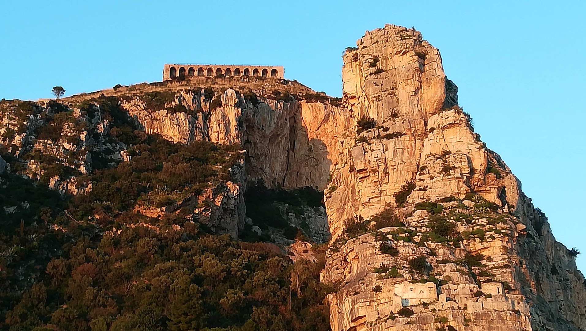 Grappolo D'Uva Ricevimenti