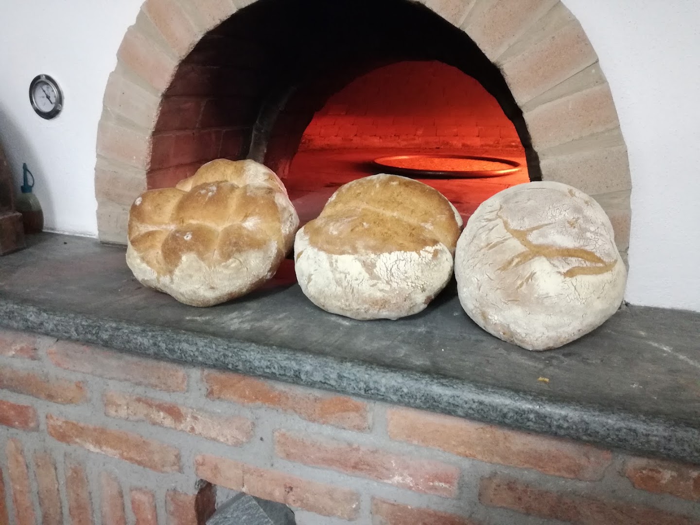 Grasso Livio