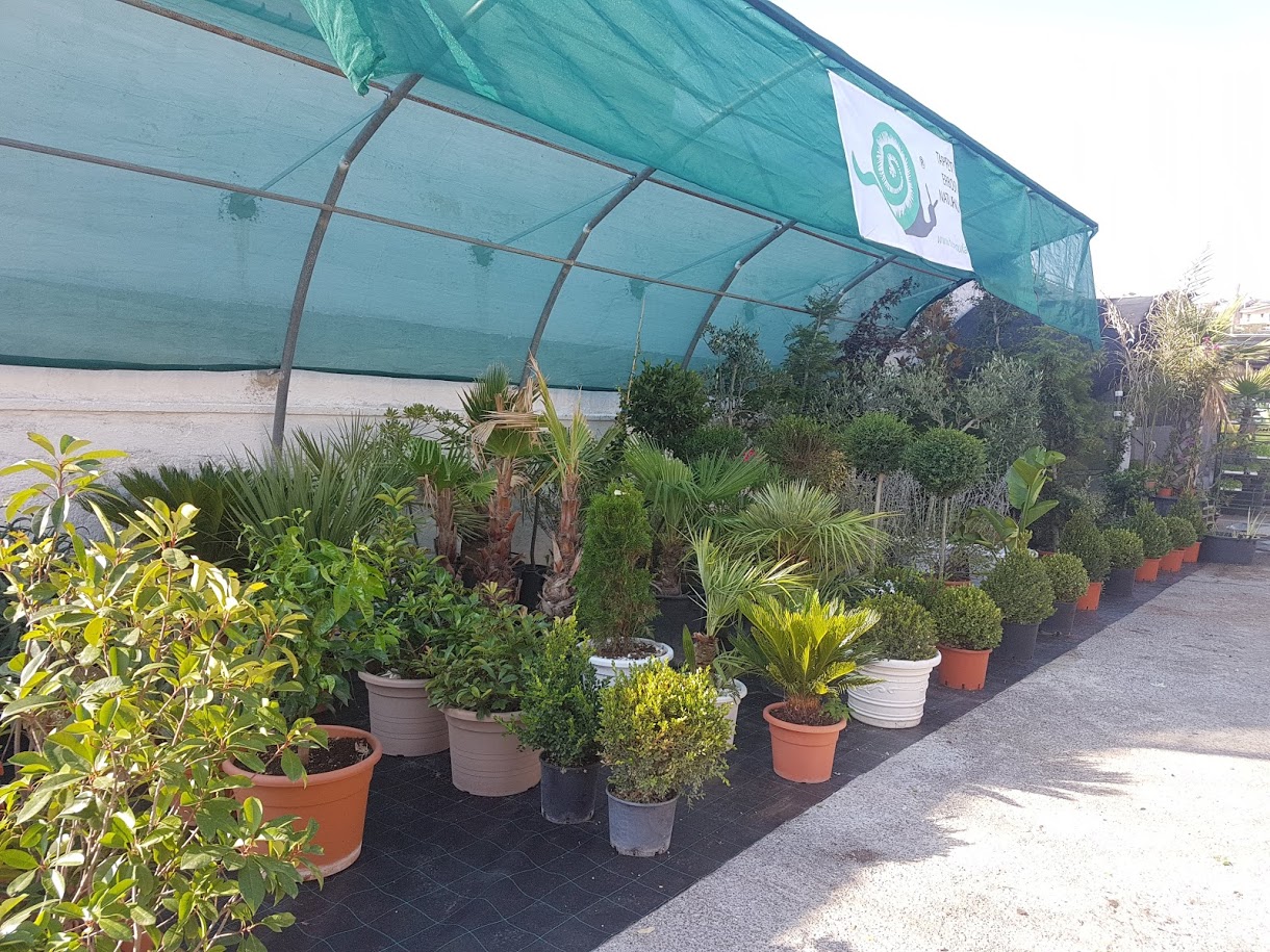 Greco Angelo - Nature & Garden, Mottola