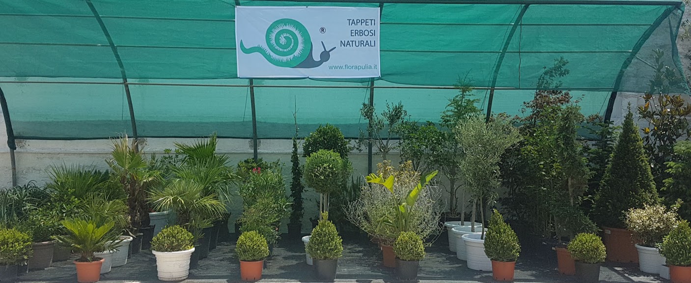 Greco Angelo - Nature & Garden