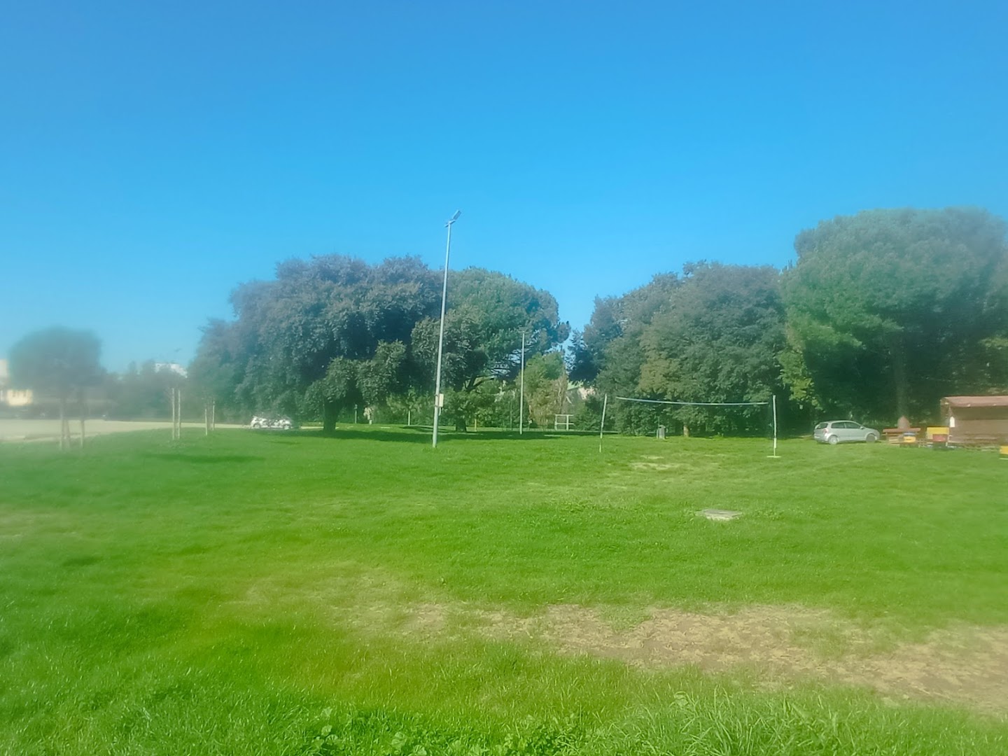 Green Bar