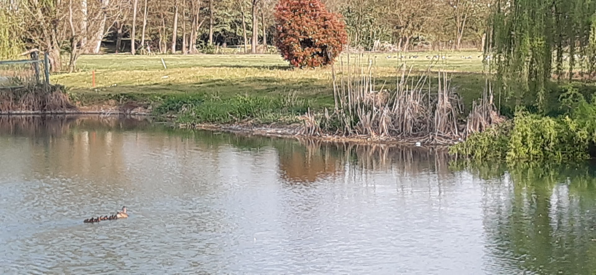 Green Club Golf Lainate
