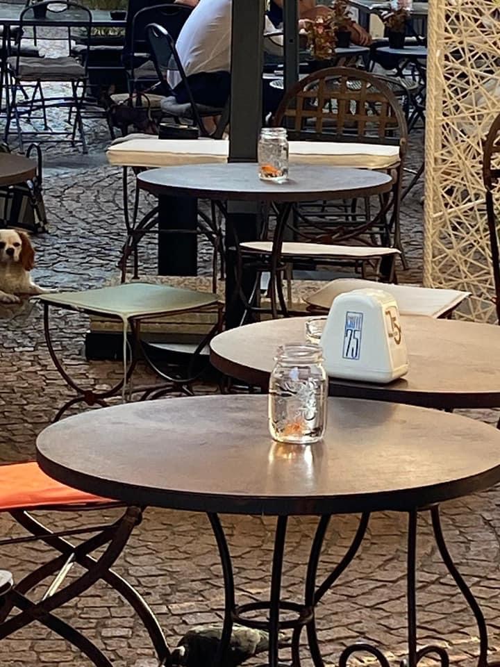 Griffi Gourmet, Varese