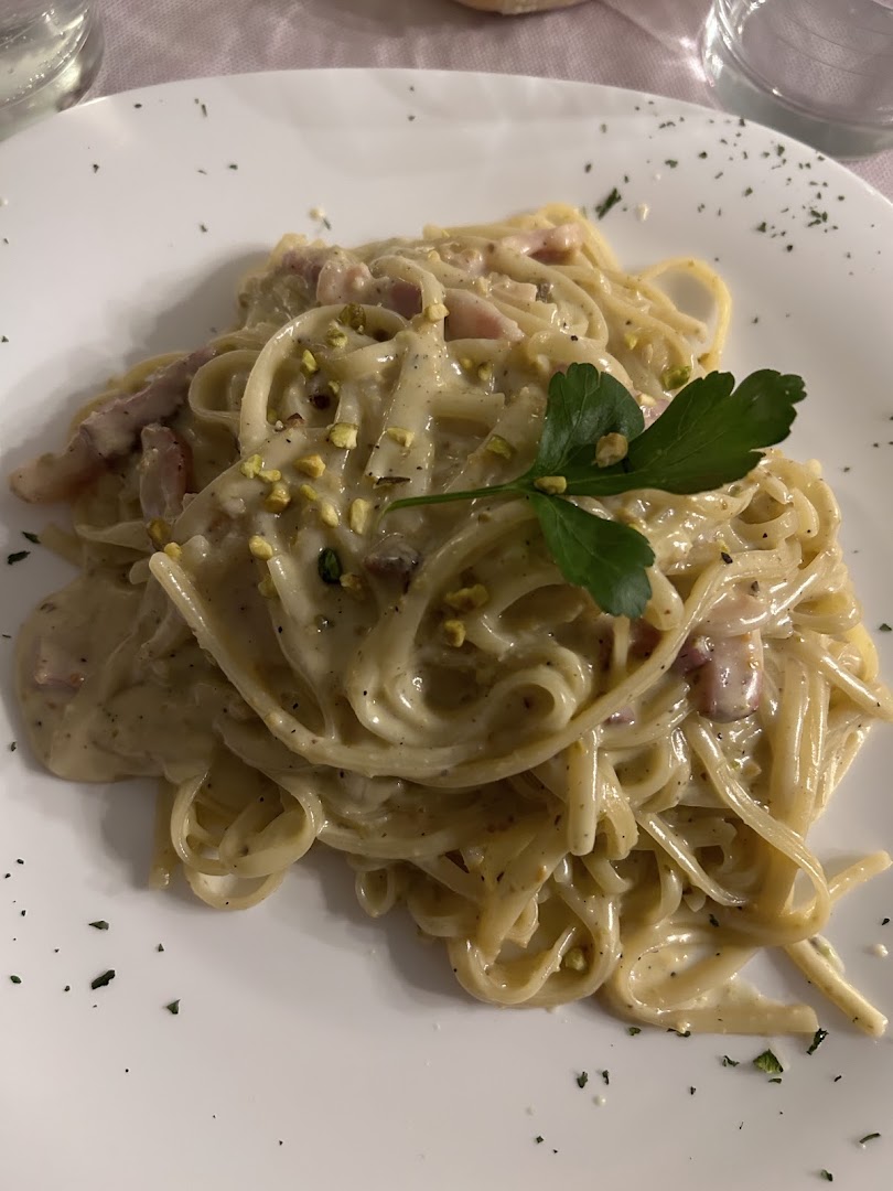 Grifo