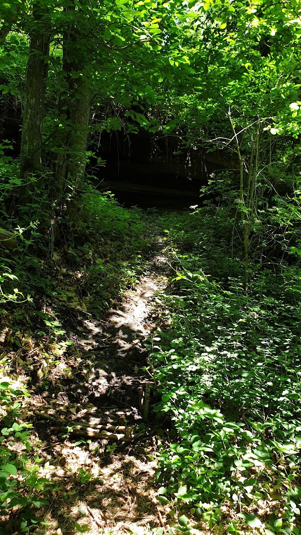 Grotta delle Capre o “Pietra Tetta”, Pavullo nel Frignano