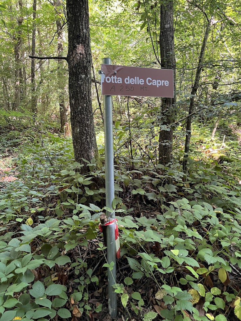 Grotta delle Capre o “Pietra Tetta”