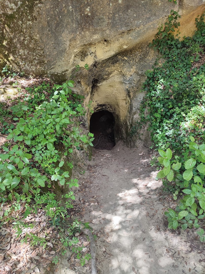 Grotte Gialle, Bibbona