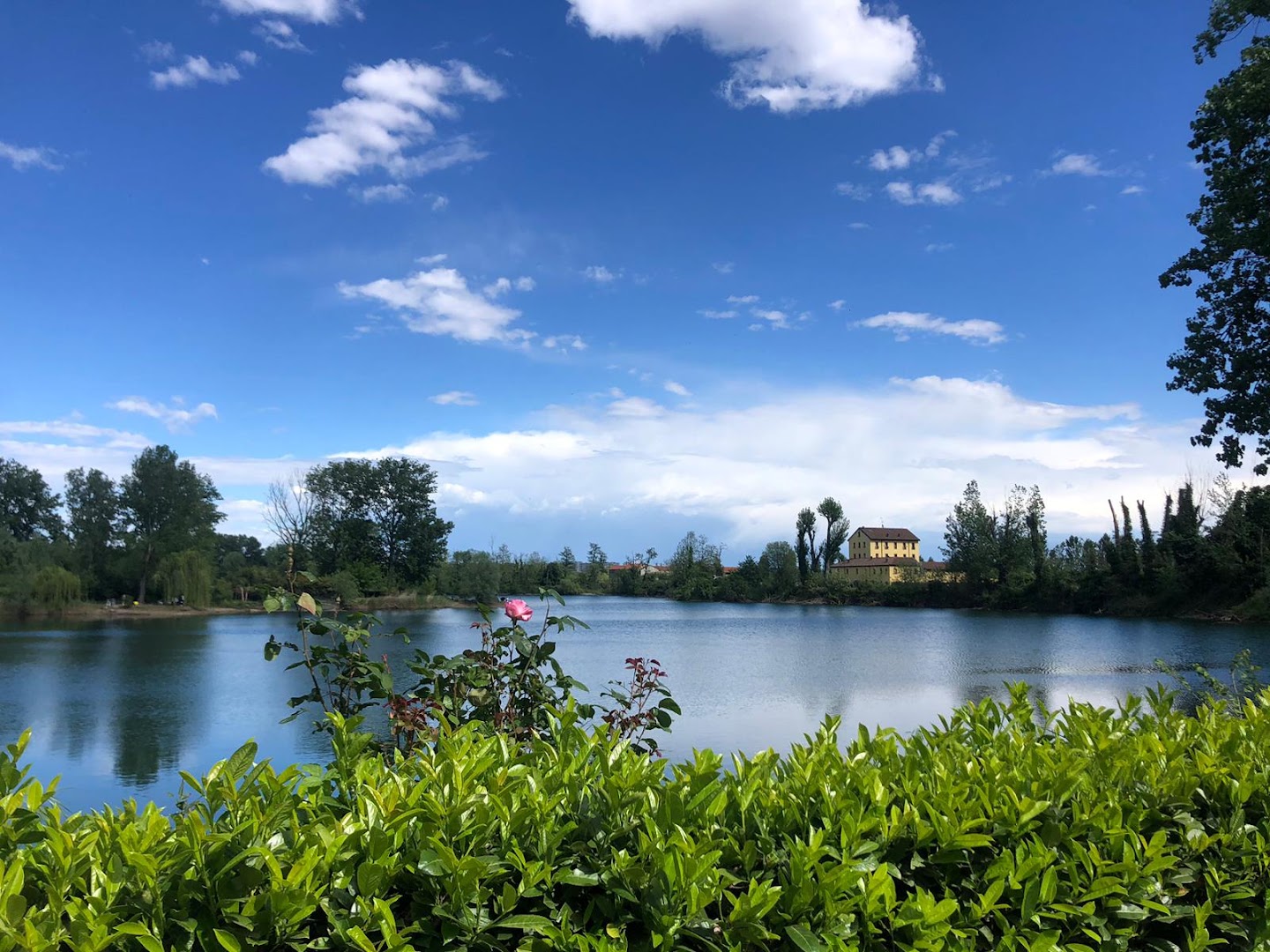 GSD riserva di pesca pianeta verde