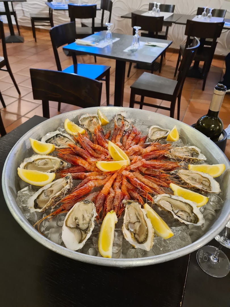 GSD riserva di pesca pianeta verde