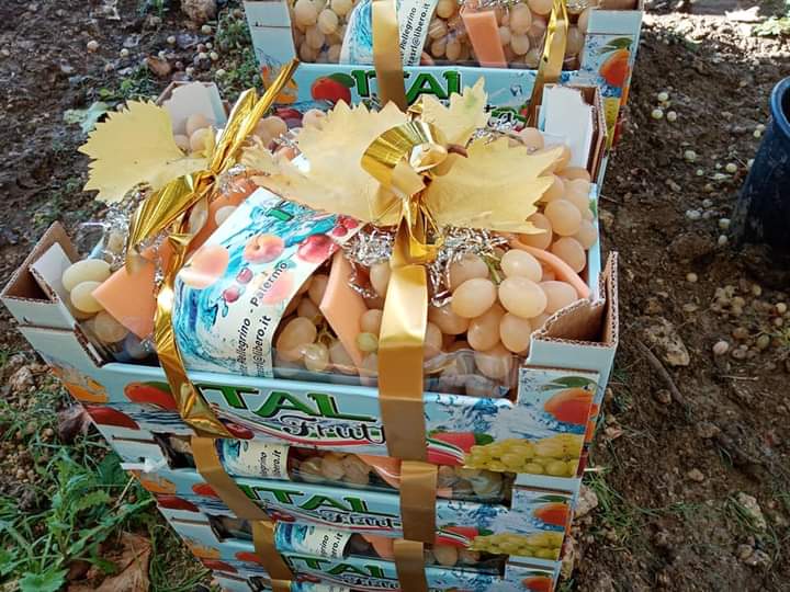 GUSTO DI NATURA , Frutta E Verdura