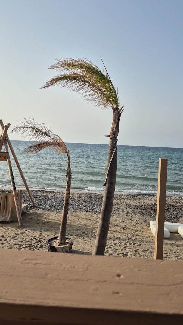 Habibi Beach Club