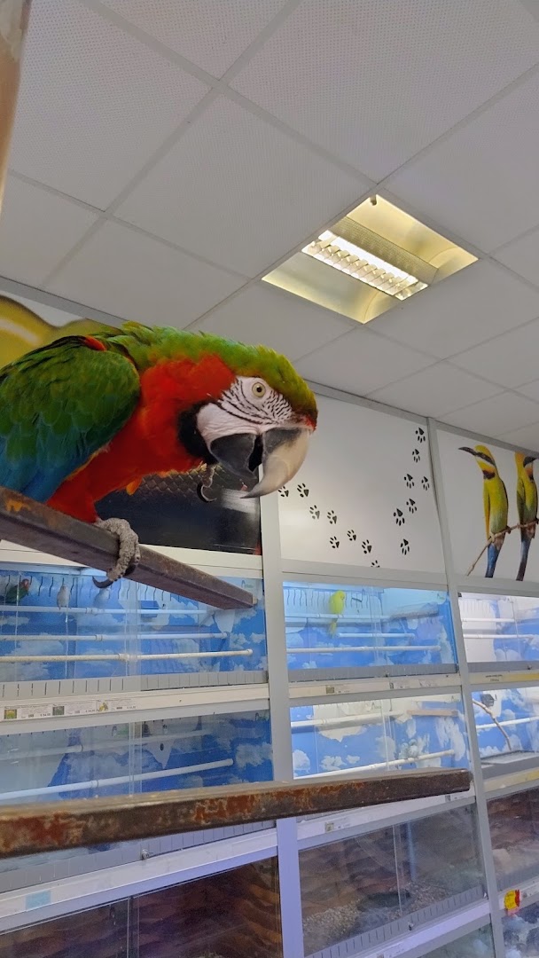 Habitat Zoo
