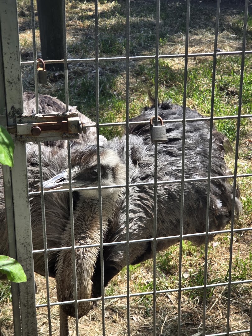 Habitat Zoo