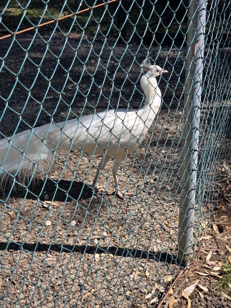 Habitat Zoo