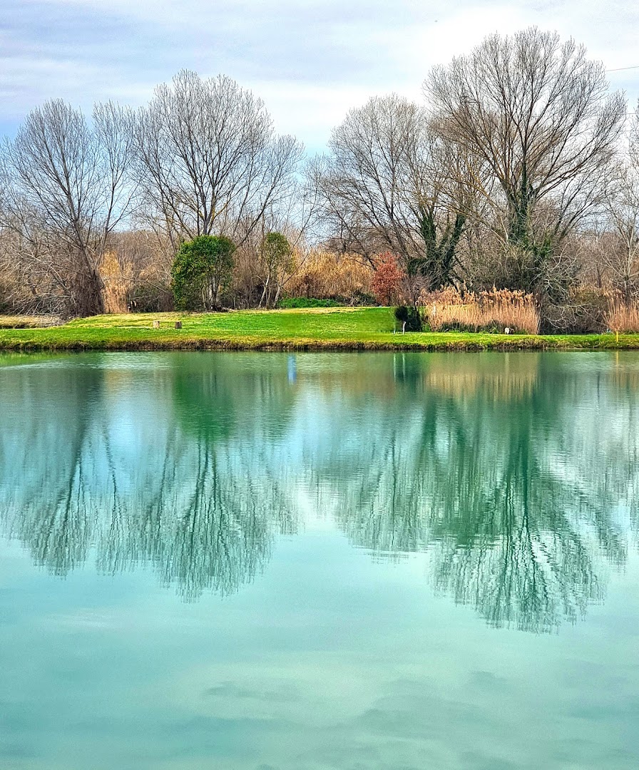 HAKUNA MATATA lake park