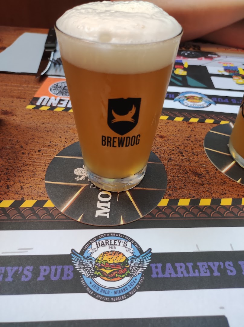 Harley's Pub Dolo, Dolo